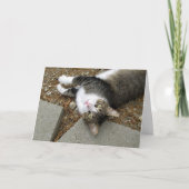 Ondersteboven Tabby Cat Easter Kaart (Voorkant)
