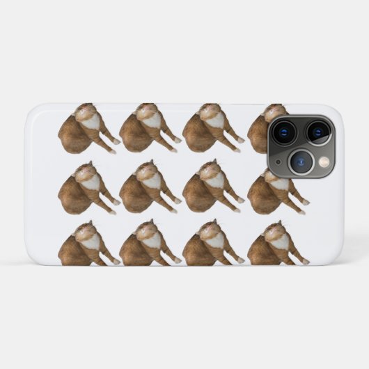 Ondersteboven Zonneschijn Kat Case-Mate iPhone Case (Achterkant (horizontaal))