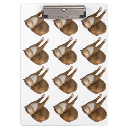 Ondersteboven Zonneschijn Kat Klembord (Voorkant)