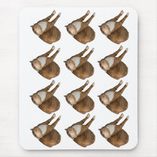 Ondersteboven Zonneschijn Kat Muismat (Voorkant)