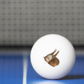 Ondersteboven Zonneschijn Kat Pingpongbal (Net)