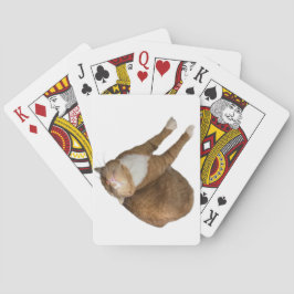 Ondersteboven Zonneschijn Kat Pokerkaarten