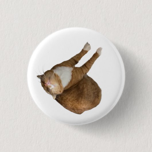 Ondersteboven Zonneschijn Kat Ronde Button 3,2 Cm (Voorkant)
