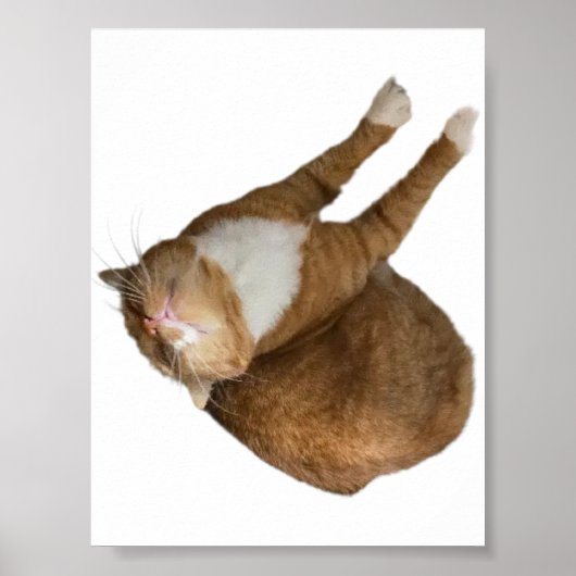Ondersteboven Zonneschijn Poster (Voorkant)