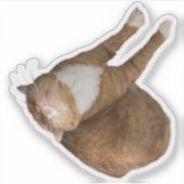 Ondersteboven Zonneschijn Sticker (Voorkant)