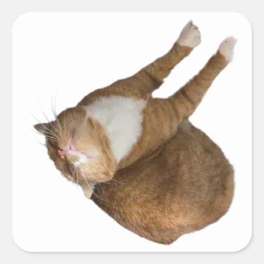 Ondersteboven Zonneschijn Vierkante Sticker (Voorkant)