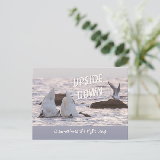 Ondersteboven Zwangstel CC0758 Doordacht Briefkaart (Staand voorkant)