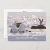 Ondersteboven Zwangstel CC0758 Doordacht Briefkaart (Voorkant / Achterkant)