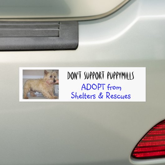 Ondersteun geen pymolens — Stapels Bumpersticker (Op auto)