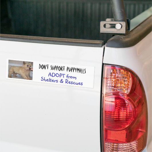 Ondersteun geen pymolens — Stapels Bumpersticker (Op Truck)