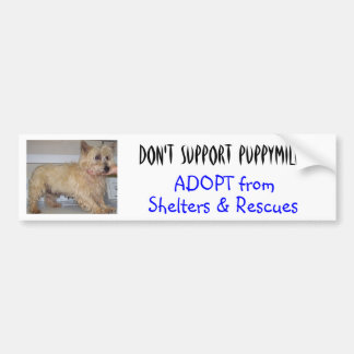 Ondersteun geen pymolens — Stapels Bumpersticker