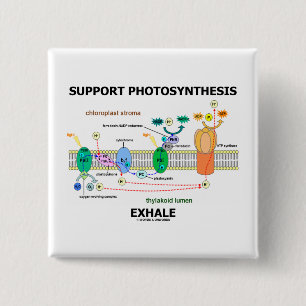 Ondersteuning van fotosynthese Exhale (Biochemie H Vierkante Button 5,1 Cm