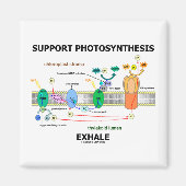 Ondersteuning van fotosynthese-uitademing (biochem magneet (Voorkant)