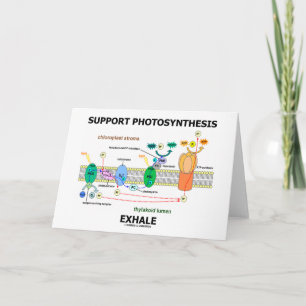 Ondersteuning van fotosynthese-uitademing (milieu) kaart