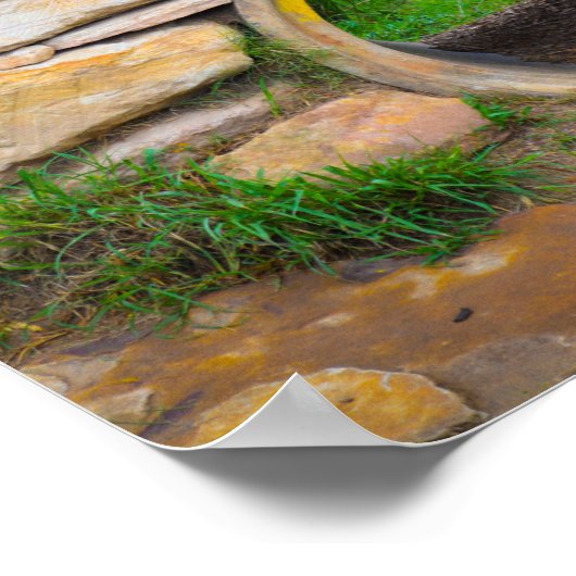 Ondertekend Lion Poster (Hoek)