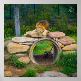 Ondertekend Lion Poster