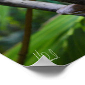 Ondertekend Poster van Merten voor de watermonitor (Hoek)