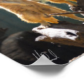 Ondertekend Taronga Western Plains Zoo Dubbo - Mee Poster (Hoek)