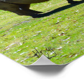 Ondertekend Taronga Western Plains Zoo Dubbo - Rhi Poster (Hoek)