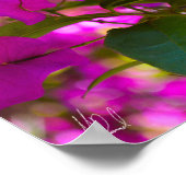 Ondertekende roze aanjager - #1 poster (Hoek)