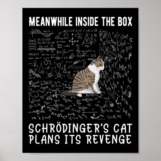 Ondertussen plant de kat Schrödingers het in de do Poster (Voorkant)