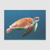 Onderwater 24 tissuepapier (Voorkant)