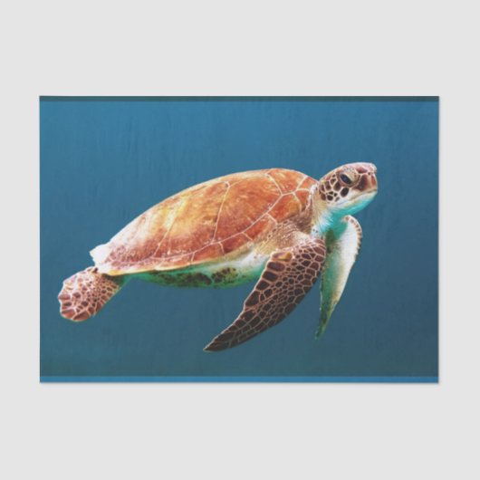 Onderwater 24 tissuepapier (Voorkant)