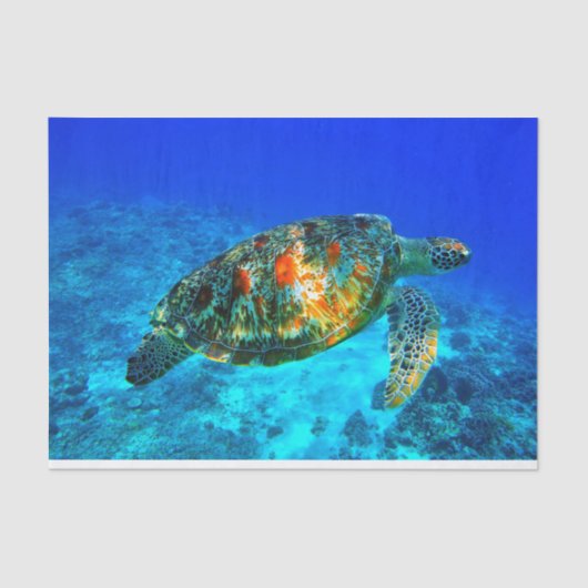 Onderwater 30 tissuepapier (Voorkant)