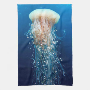 Onderwater 31 Keukenhanddoeken