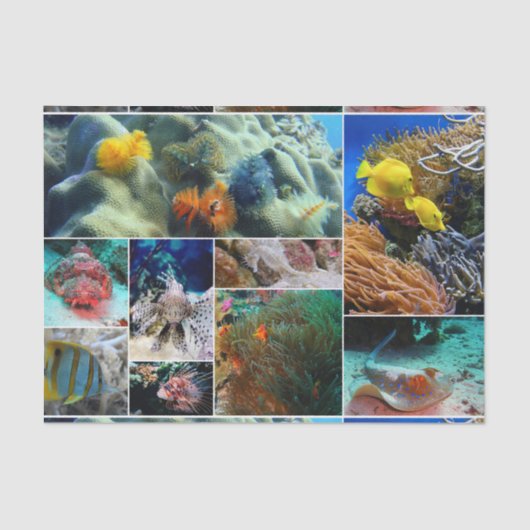 Onderwater 36 tissuepapier (Voorkant)