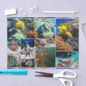 Onderwater 36 tissuepapier (Craft)