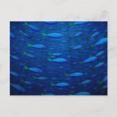 Onderwater 4 briefkaart (Voorkant)