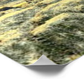 onderwater afdrukken poster (Hoek)