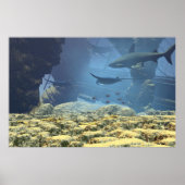 onderwater afdrukken poster (Voorkant)