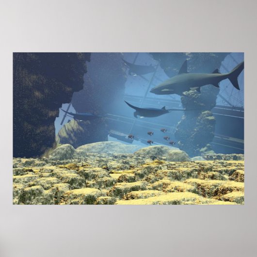 onderwater afdrukken poster (Voorkant)