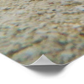 Onderwater Bahamas Poster (Hoek)