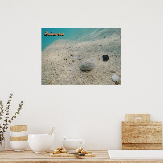Onderwater Bahamas Poster (Keuken)
