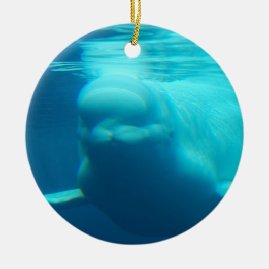Onderwater Beluga Whale Keramisch Ornament (Voorkant)