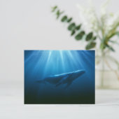 Onderwater Bultrugwalvis Briefkaart (Staand voorkant)