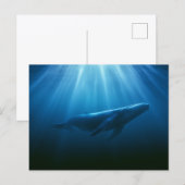 Onderwater Bultrugwalvis Briefkaart (Voorkant / Achterkant)