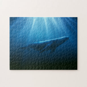 Onderwater Bultrugwalvis Legpuzzel