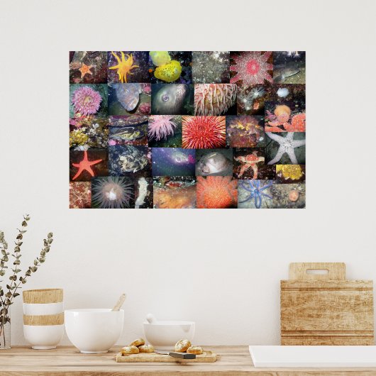 Onderwater Creaters Collage - Fine Art Print (Keuken)