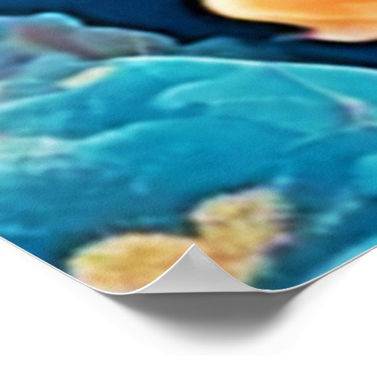 Onderwater goudvis kunst poster (Hoek)