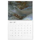 Onderwater Guam 12 maanden Kalender (Mar 2027)