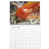 Onderwater Guam 12 maanden Kalender (Jan 2027)