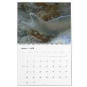 Onderwater Guam 12 maanden Kalender (Mar 2025)