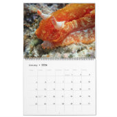 Onderwater Guam 12 maanden Kalender (Jan 2026)