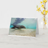 Onderwater het paradijslagune van de zeeleeuw kaart (Gele Bloem)