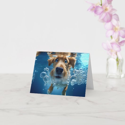 Onderwater Hond Zwemmende Bubbels Blauwe Ogen Blan Kaart (Orchidee)