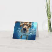 Onderwater Hond Zwemmende Bubbels Blauwe Ogen Blan Kaart (Voorkant)